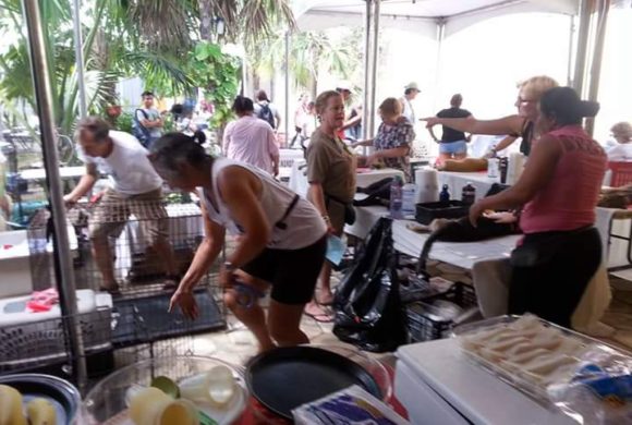 Upcoming Rancho Viejo Spay/Neuter Campaign Dec. 1 – 5