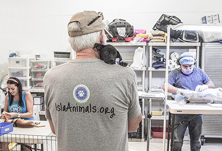 Thursdays – FREE Spay and Neuter! Thursdays – FREE Spay and Neuter!