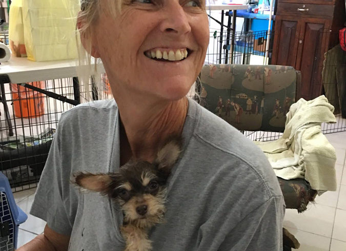 This week at Isla Animals Nov 30, 2017 This week at Isla Animals Nov 30, 2017