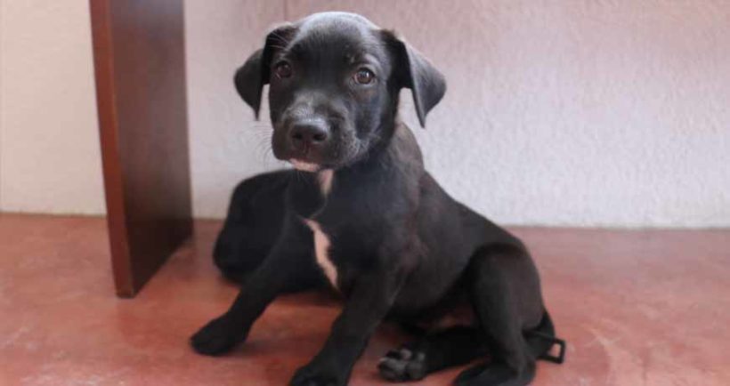 Kate & Ollie Kate & Ollie