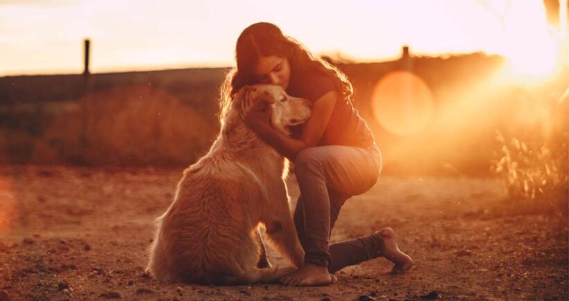 Doggies going home in MAY Doggies going home in MAY