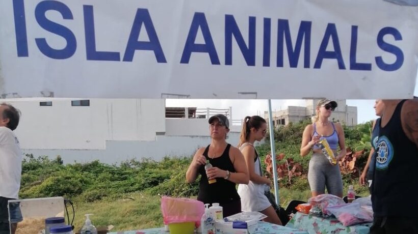 Why It’s So Important to Give to Your Favorite Animal Welfare Organization Why It’s So Important to Give to Your Favorite Animal Welfare Organization