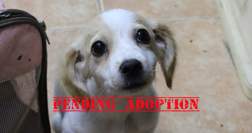 Zero – Enzo Zero – Enzo