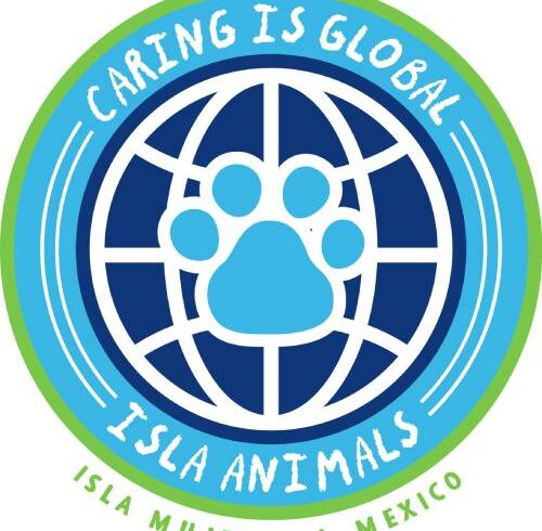 #SAVEISLAANIMALS – help us build a shelter for them!