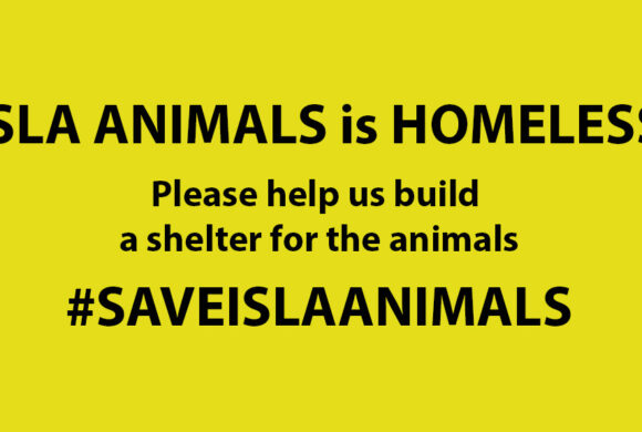 April 23 – Nov 24 April 23 – Nov 24