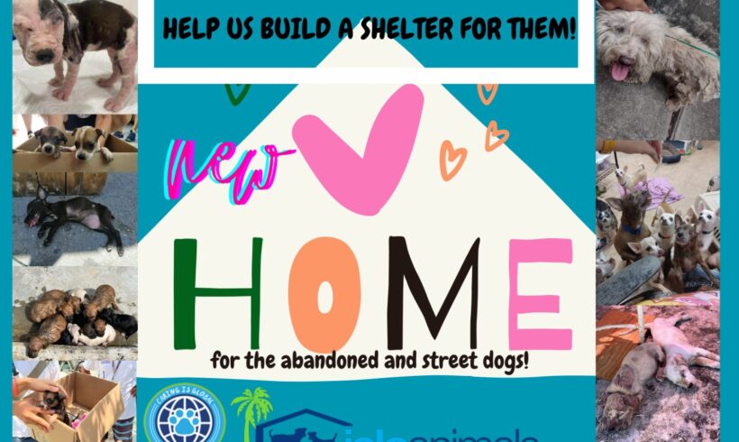 We have a PLAN! The dream is taking shape! We have a PLAN! The dream is taking shape!