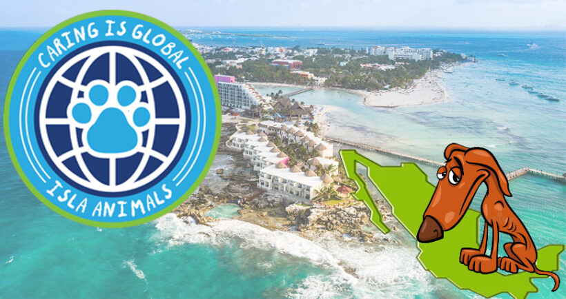 Is Isla Animals leaving the island?