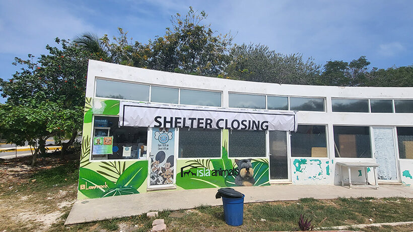 Post-Eviction: what has it been like for us…