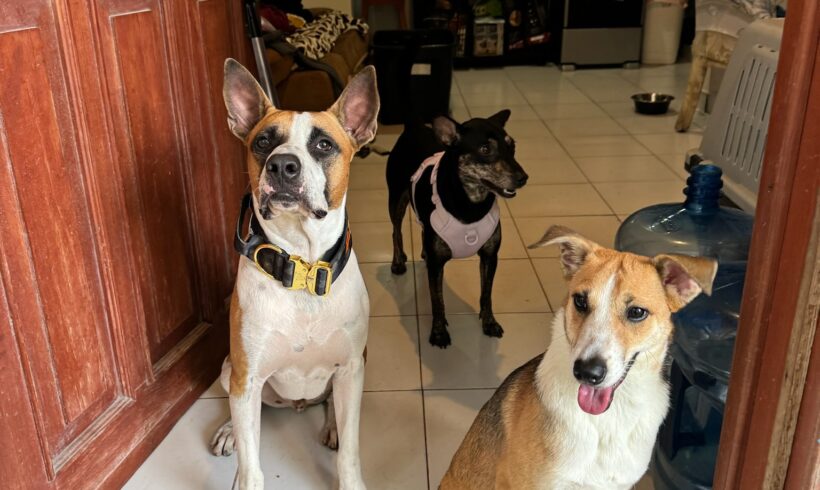 What is coming in 2024?