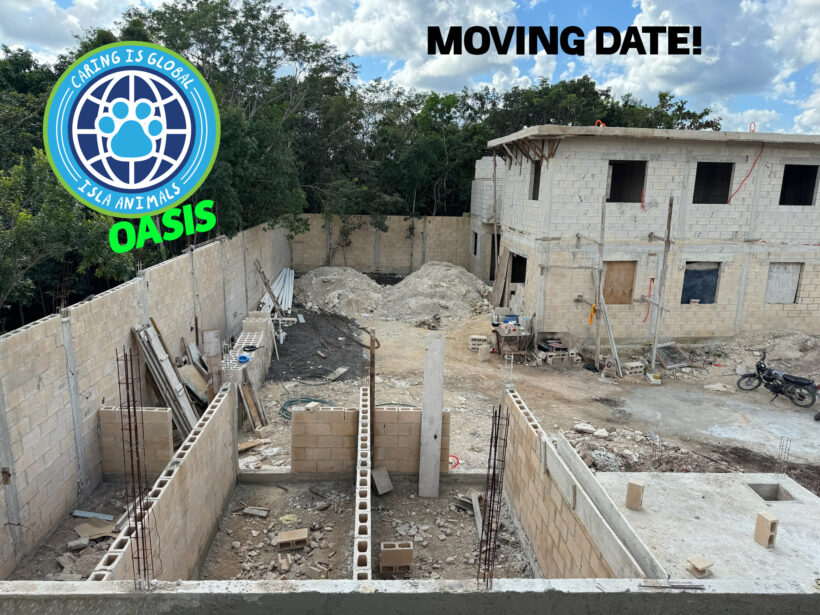 Isla Animals OASIS – MOVING DATE – March 1