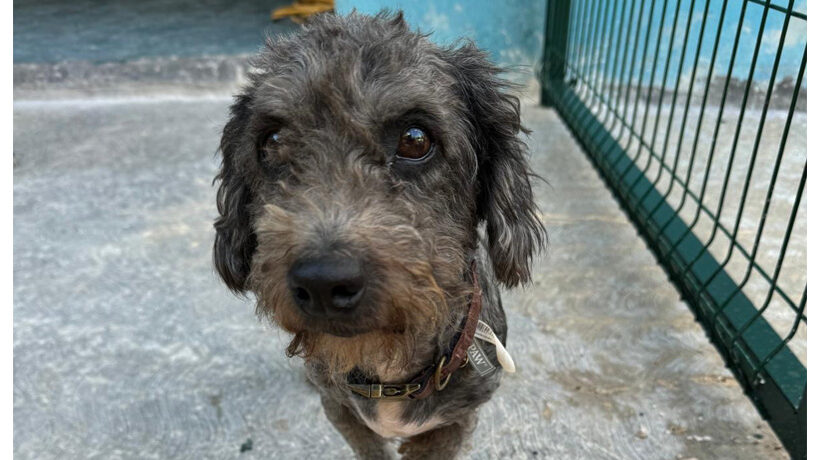 Bob Marley Bob Marley