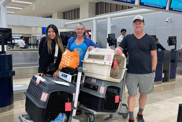 Flight Angels 2024/2025 update Flight Angels 2024/2025 update