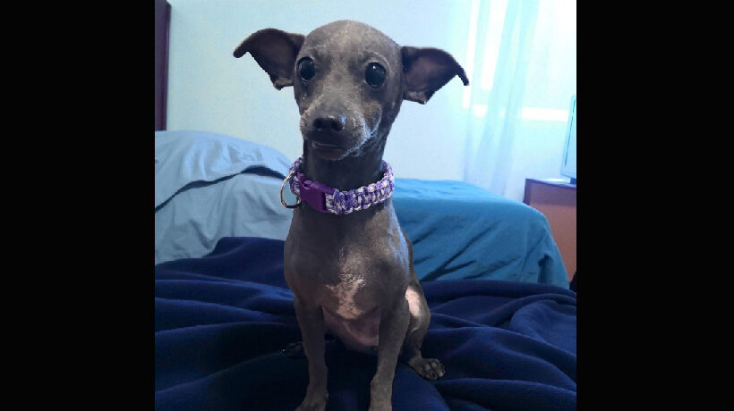 Tilly Dobbie SkinnyButt Tilly Dobbie SkinnyButt