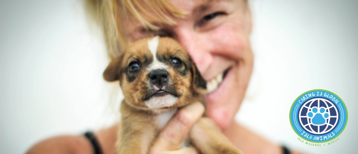 Portrait of Alison Sawyer holding a tiny rescue puppy