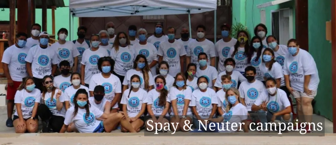 slider ia site new 25